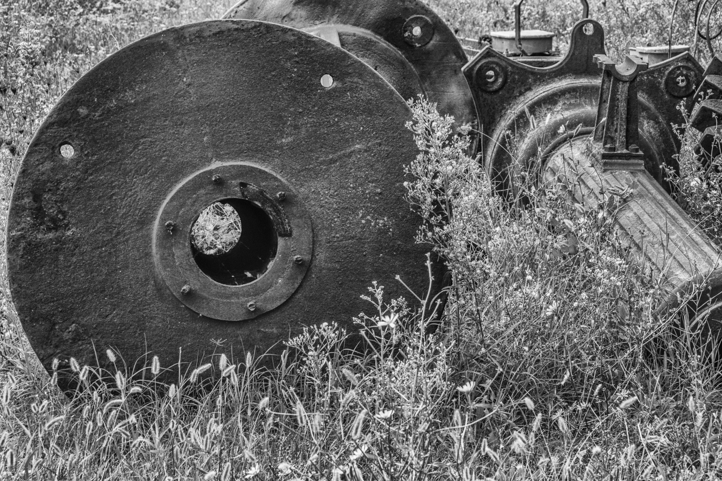 Fotografia della R&ecirc;verie