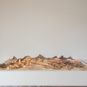 Ortorama dell'Almagià - una corografia dei Monti Lessini | 2018