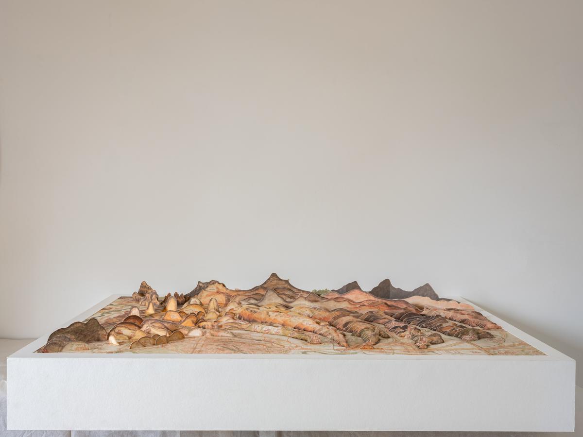 Ortorama dell'Almagià - una corografia dei Monti Lessini | 2018