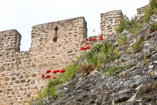Mosteiros de Tomar, Batalha, Alcobaça & Acueduto dos Pegoes